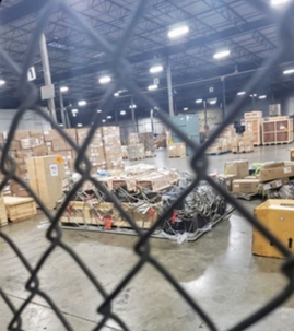 15 French Bulldogs rescued from O'Hare