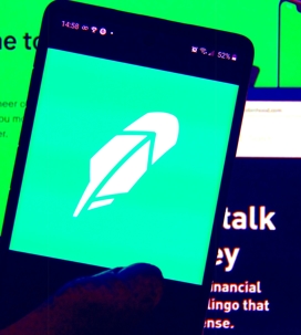 A picture of the Robinhood logo to represent the current stock market experience.